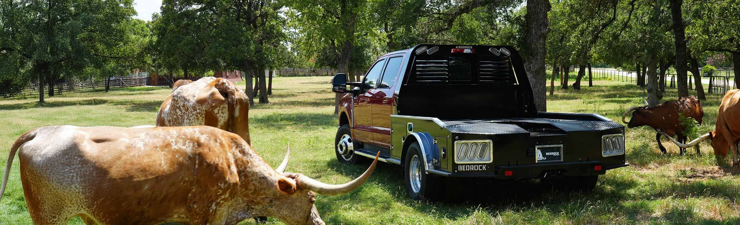 Bedrock Onyx flatbed on a dually truck surrounded by longhorn cattle on a ranch